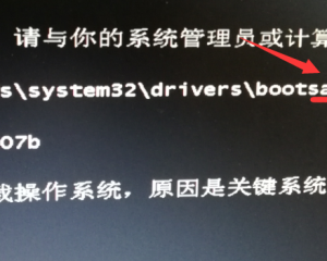 WIN10开机 0x000007b 黑屏白字修复 有图有真相 By:莆星电脑维修